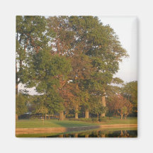 Visualise Serenity magnet