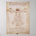 Vitruvian Man Poster