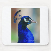 vivid blue peacock mousepad