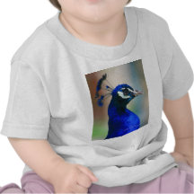 vivid blue peacock t-shirt
