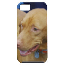 vizla-3.jpg iPhone 5 covers