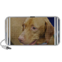 Vizsla Dog Speakers