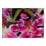 Voici des Fleurs Greeting Cards