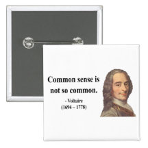Voltaire Quote 3b Pin
