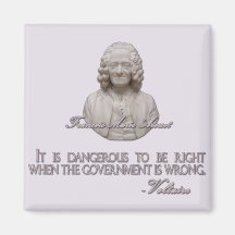 Voltaire Quote on Wrong Government Magnets