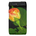 VooDoo Rose Motorola Droid RAZR Cases