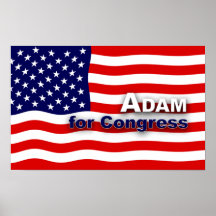 Vote for a better Congress! Poster