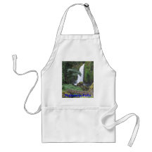 Wahclella Falls Apron