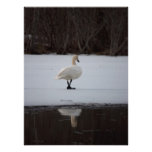 Walk Away Photograph