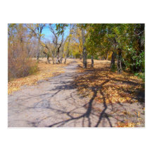 walking in the fall postcard