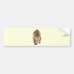 Walking Jaguar Eyes Bumper Stickers