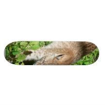 Walking Lynx Custom Skateboard