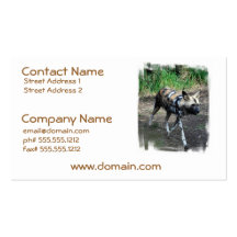 Walking Wild Dog Business Cards