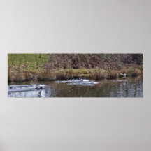 Wall Decor Poster
