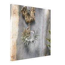 Wall Orchid Wrapped Canvas Gallery Wrapped Canvas