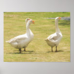 Wandering Geese Poster