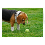 Wanna Play? Greeting Card