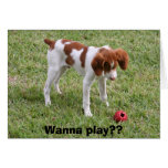 Wanna play?? greeting cards