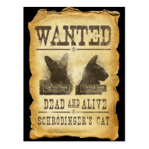 Wanted dead and alive.  Schroedinger's cat. Post Card