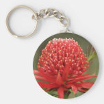 Waratah in bloom, Australia flowers Keychain
