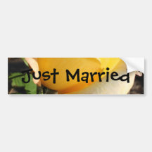 Warm Affection Bumper Sticker