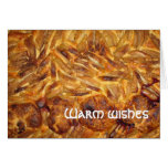 Warm Wishes and Apple Cake Card cards