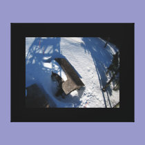 Warner Mountain Lookout in the Spring canvas prints
