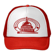 Washington DC Mesh Hat