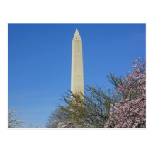 Washington Monument Cherry Blossom Festival Postcard