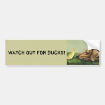 WATCH OUT FOR DUCKS! Dachshund Bumper Sticker