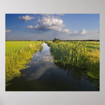 water and clouds posters