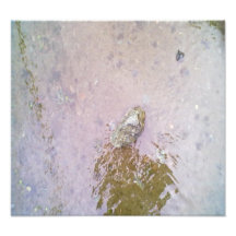 Water and Stone.jpg Photo