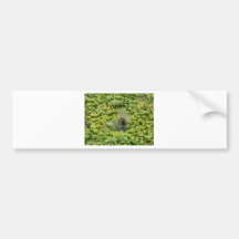 water bubble bumper sticker