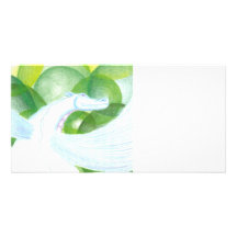 Water Dragon Photo Card