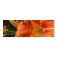 Water Droplets on an Orange Lily Business Card Templates