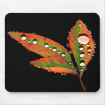 Water Drops Mouse Pad