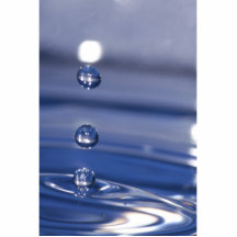 Water Drops Photo Cut Outs