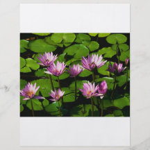 Water lilies flyer design