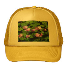 Water lilies mesh hats