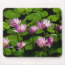 Water lilies mouse pad