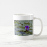Water Lilly 2 Mug