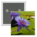 Water Lily Button
