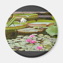 Water Lily Pads Ponds Refrigerator Magnets