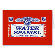 Water Spaniel Cards