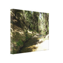 Water Stream Gallery Wrapped Canvas