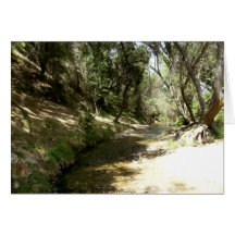 Water Stream Greeting Card