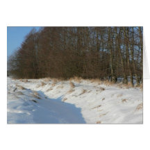 Water Stream Hidden Under Snow Cards