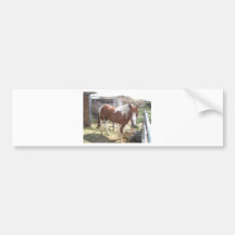 Watercolor Paint Horse Bumper Sticker