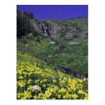Waterfall and wildflowers in alpine meadow, post cards