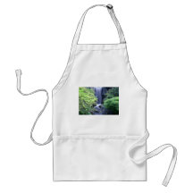 Waterfall at Missouri Botanical Garden Apron